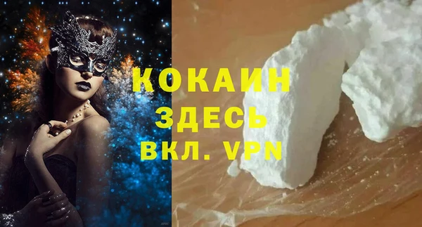 крисы Майский
